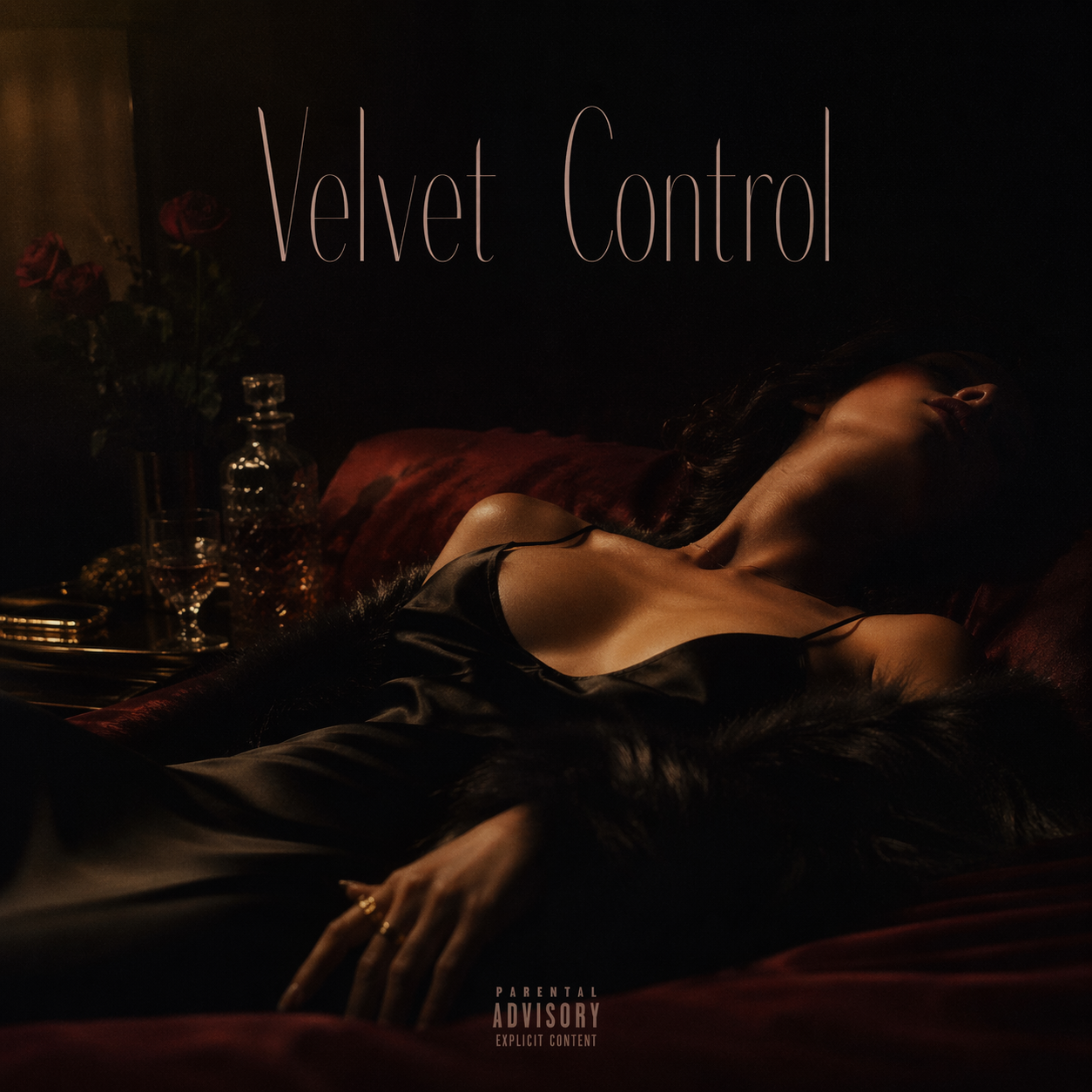 Velvet Control album artwork